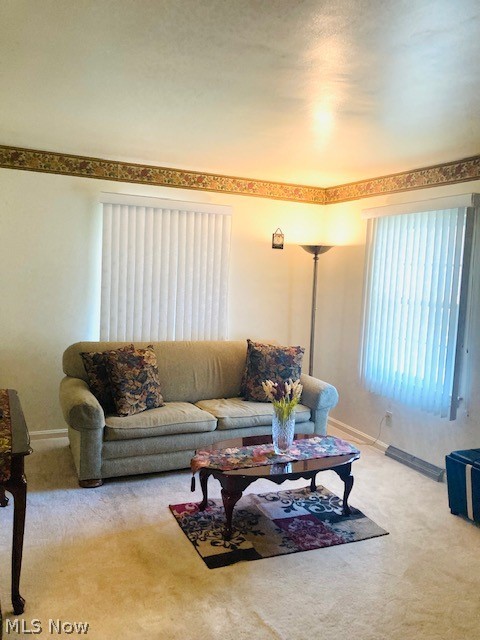 Airways Allotment - Residential