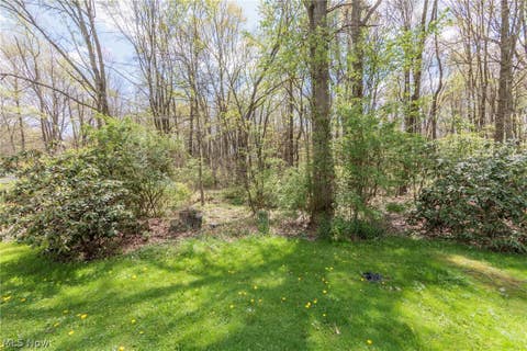 Tiny photo for 524 Arlington Boulevard, Newton Falls, OH 44444 (MLS # 5239286)