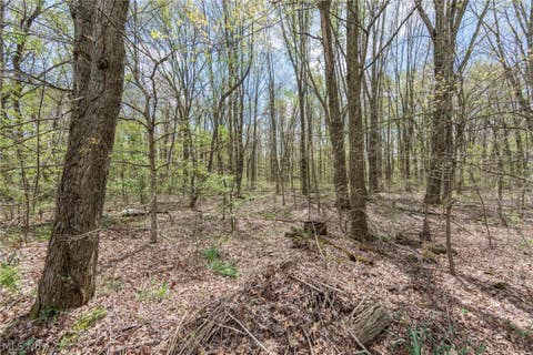 Tiny photo for 524 Arlington Boulevard, Newton Falls, OH 44444 (MLS # 5239286)