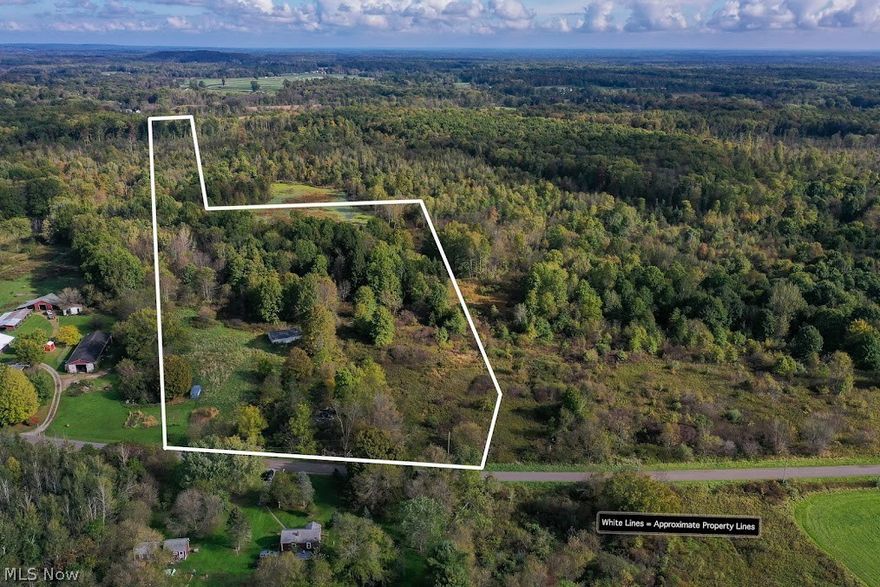 Here is an opportunity to purchase this 21+ acres to build your dream home on in a nice country setting. If you enjoy wildlife, hunting, bird watching etc., then this is the property for you! This property could also be your dream horse farm, or other livestock, where you can raise your own crops, fruit trees , and the list goes on. Many options on this great property. There is an old collapsed barn on the property, and there is a free standing garage. The owner of the contents of the building will store these items in the building until February 4, 2022 (per the agreement with the current property owners). Take a look, and make your move today before it's gone.