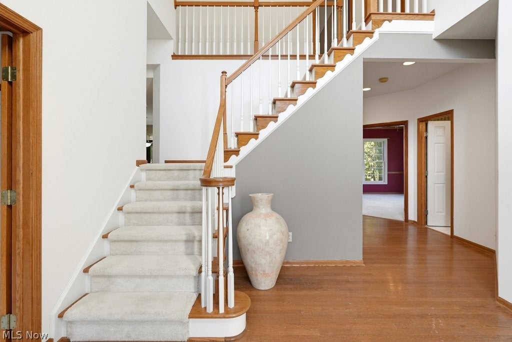 1541 Newton Pass