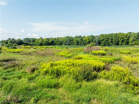 Vacant Land For Sale - Webster Road<br/> Centerburg, OH 43011