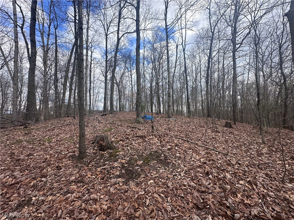 Pierson SD - Residential