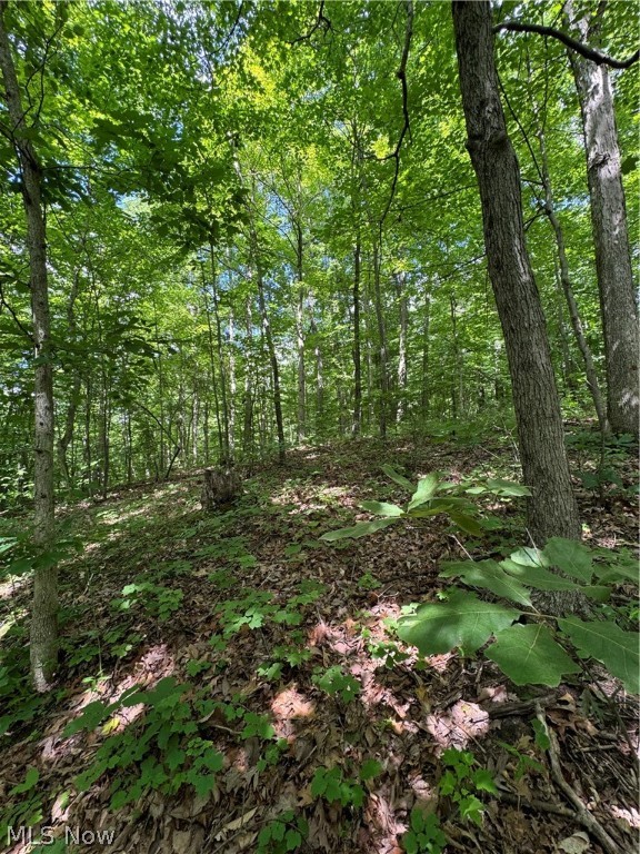 Pierson SD - Residential