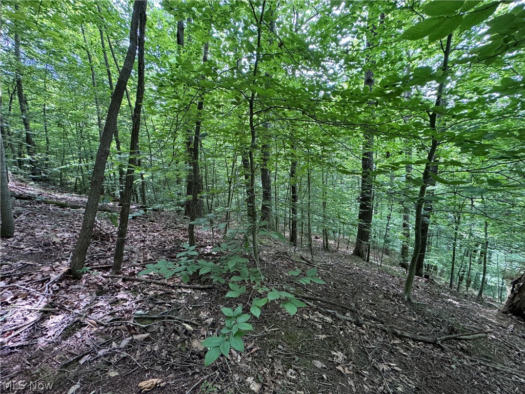 Pierson SD - Residential