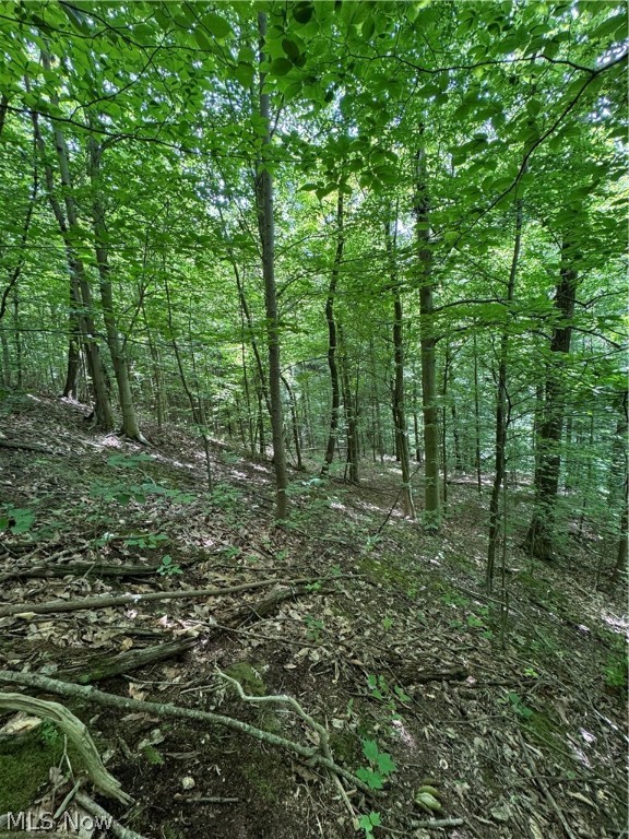 Pierson SD - Residential