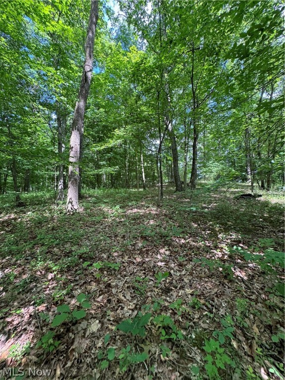 Pierson SD - Residential