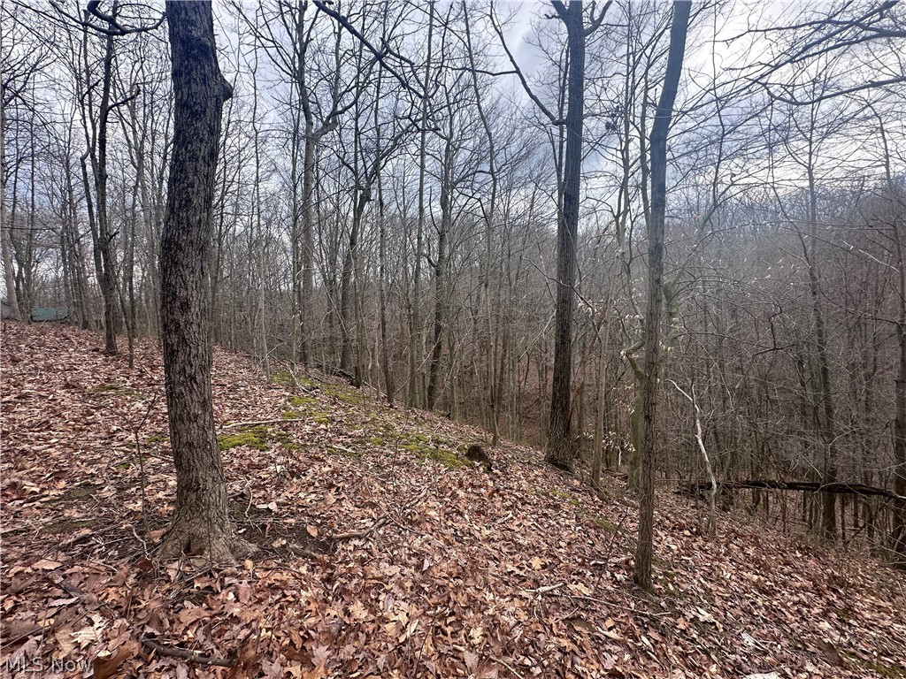 Pierson SD - Residential