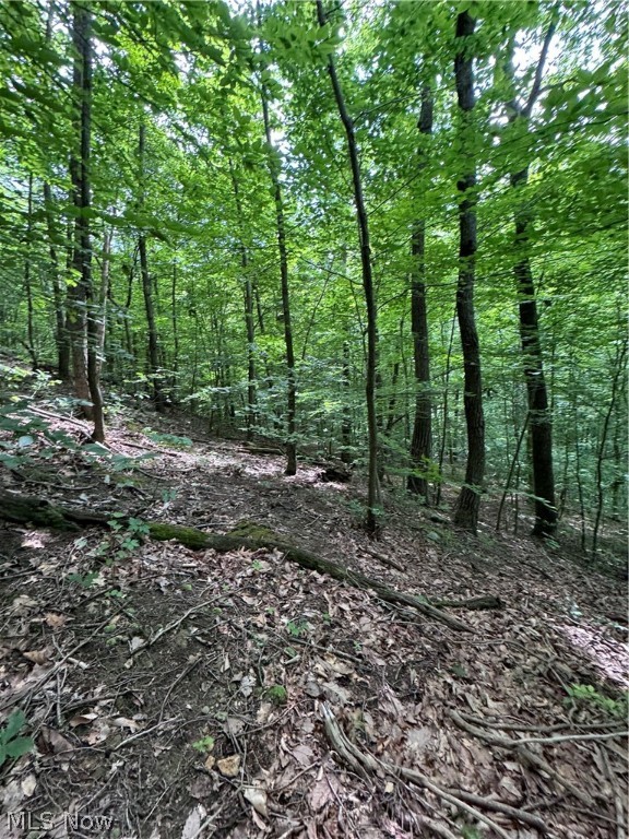 Pierson SD - Residential