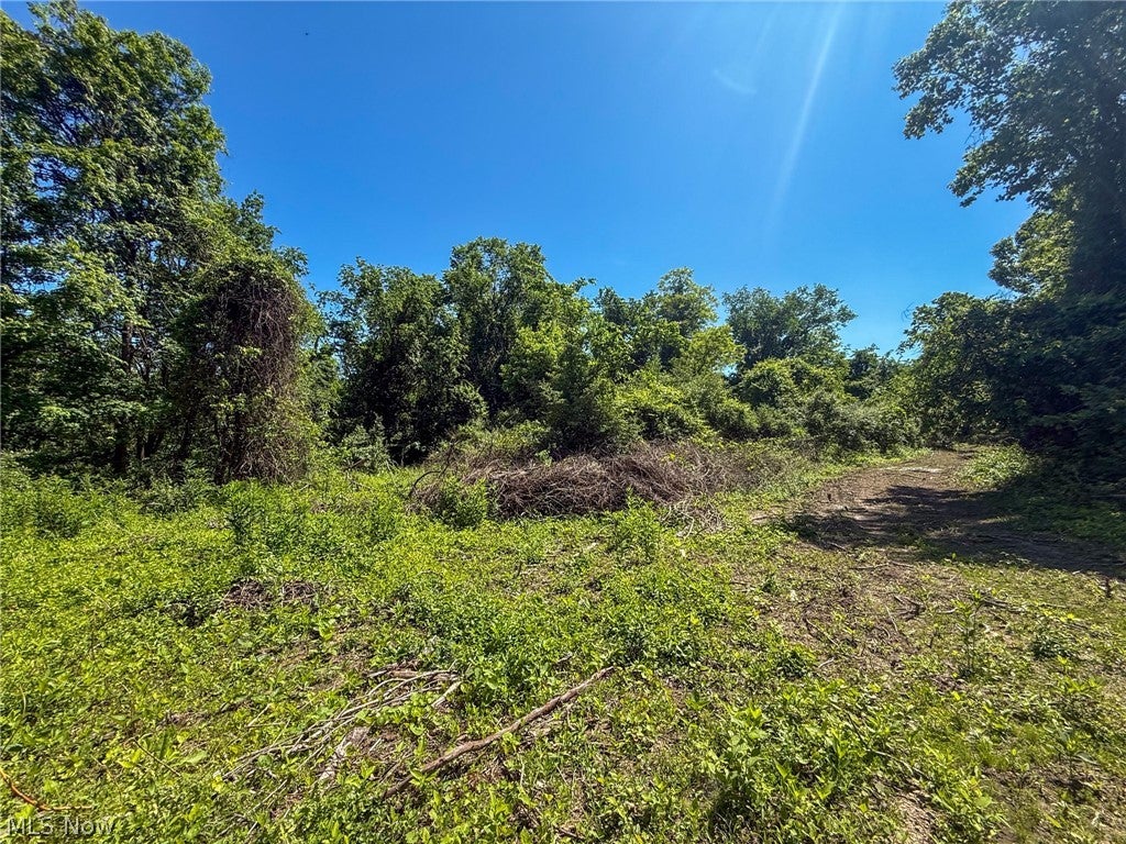 Lot 3 Altamont Rd