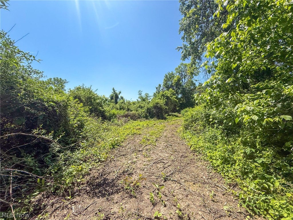 Lot 3 Altamont Rd