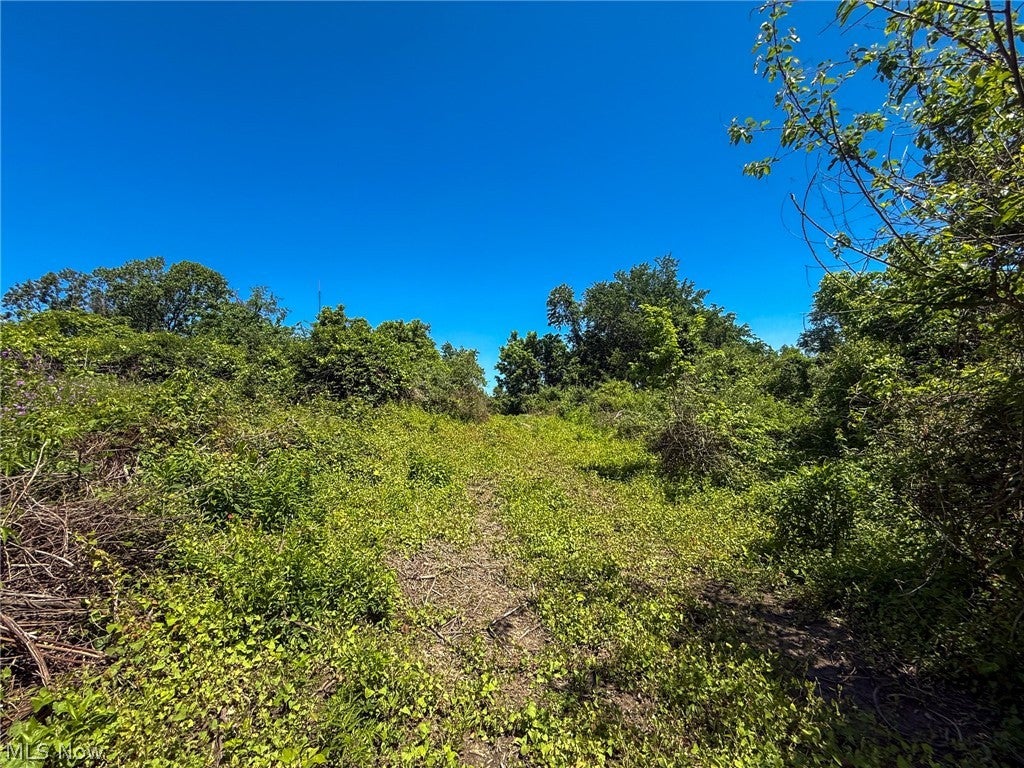 Lot 3 Altamont Rd
