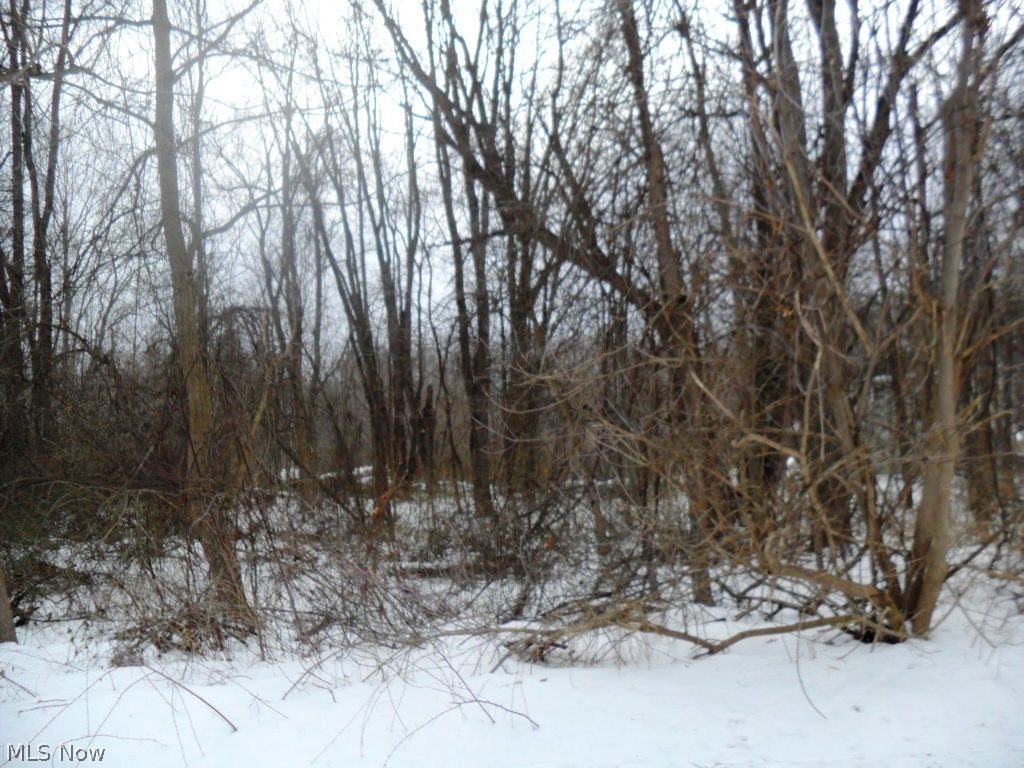 Wonderful wooded 0.276 acre lot. Public water & public sewer available at the street. Convenient location to park, ball field, shopping, hospital, & restaurants,
and Routes 14, 44, & 88. Buyer is responsible for due diligence inquiry of all property information contained herein and property suitability for buyers intended
purpose.