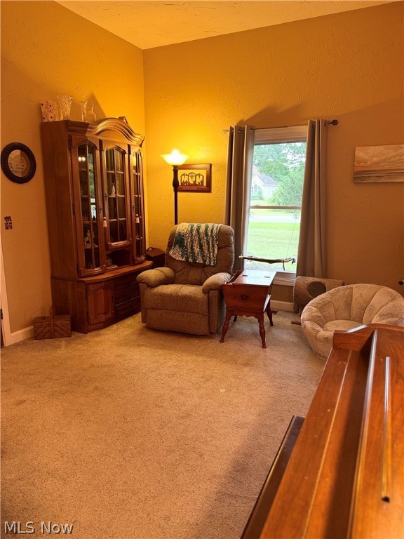 Black River - Residential