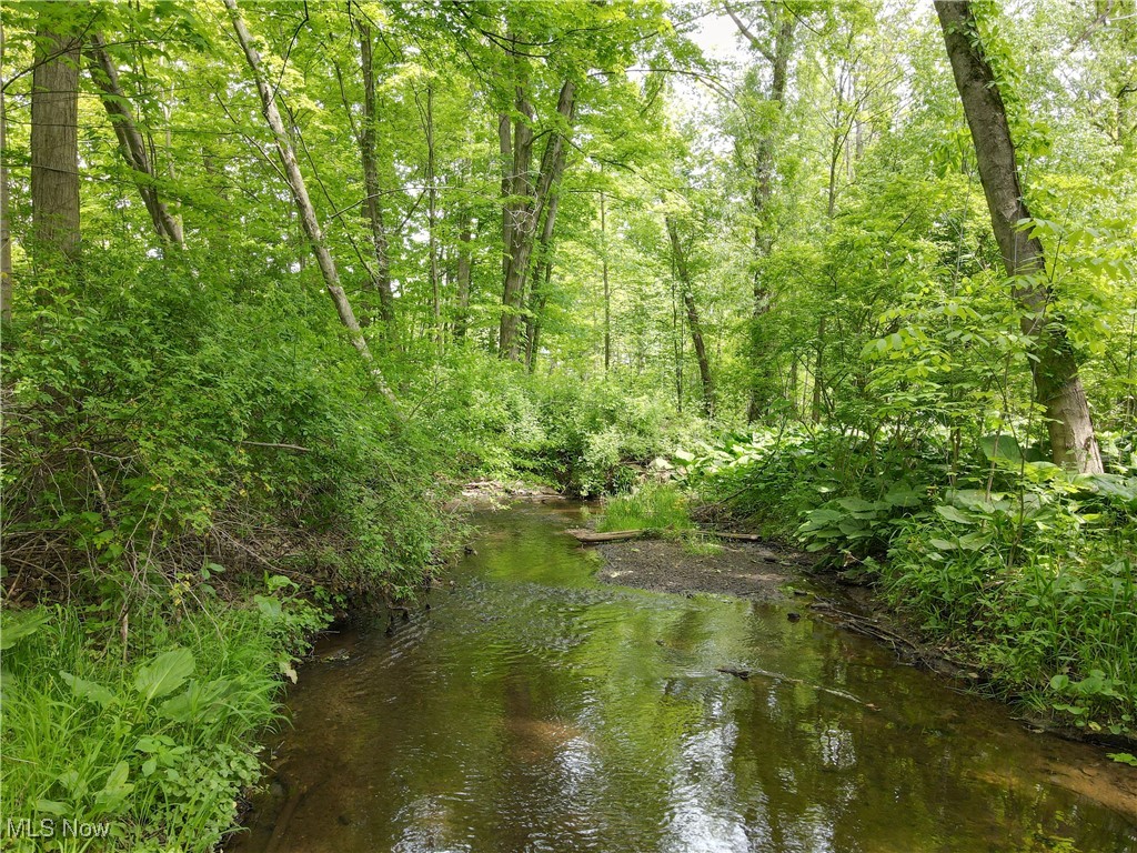 218 Treetop Spur