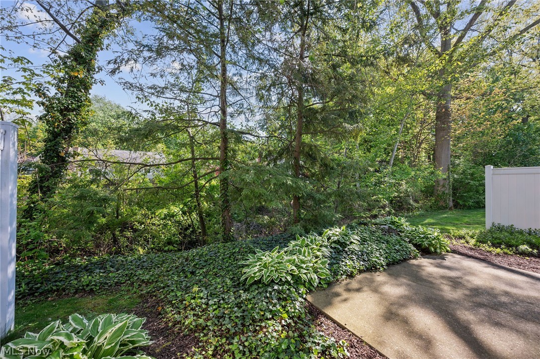 Chestnut Commons Condo - Residential