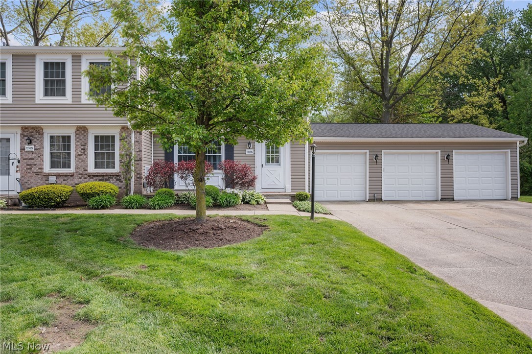 Chestnut Commons Condo - Residential