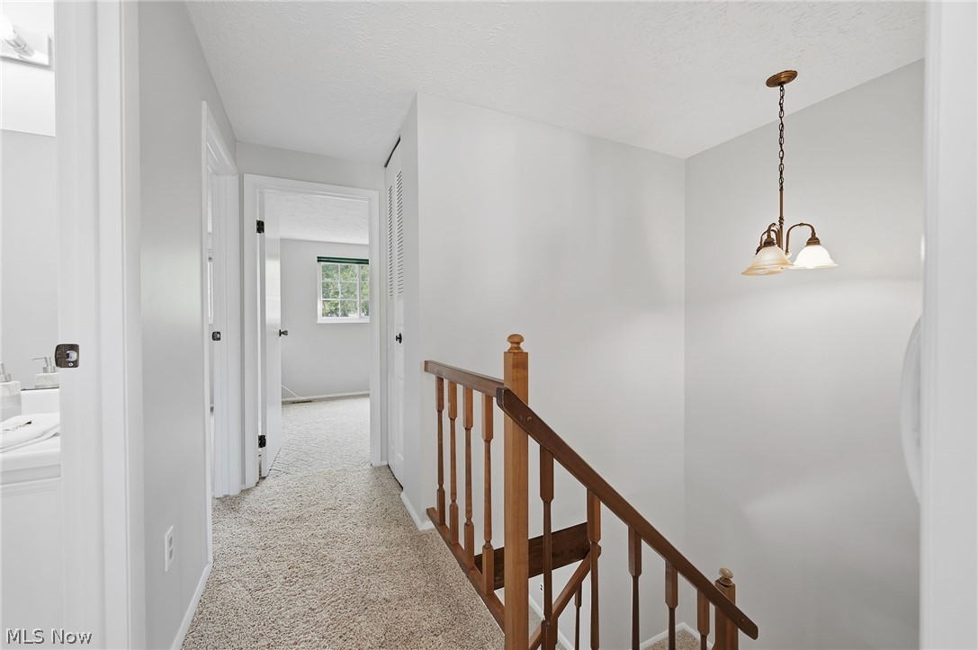 Chestnut Commons Condo - Residential