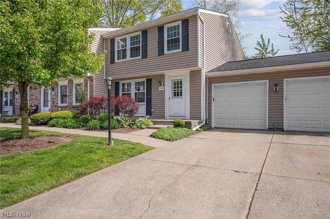 Chestnut Commons Condo - Residential