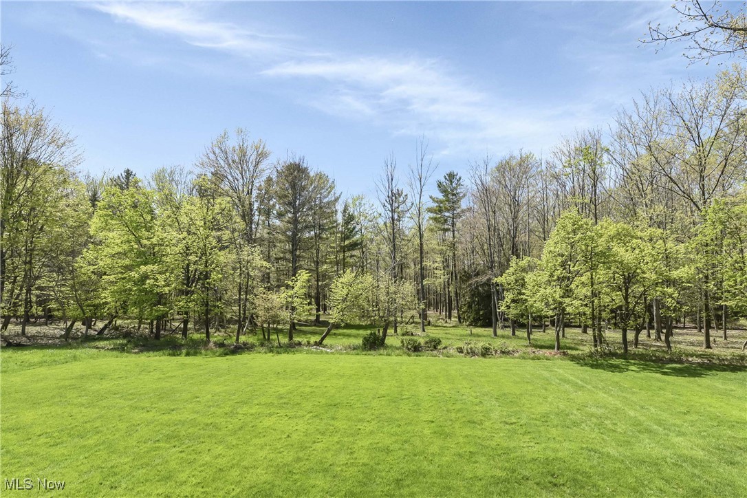 11764 Ivy Ridge Drive, North Royalton, Ohio image 38