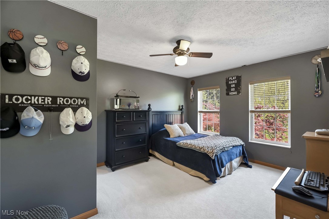 11764 Ivy Ridge Drive, North Royalton, Ohio image 26