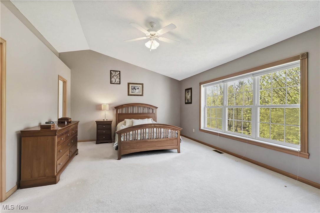 11764 Ivy Ridge Drive, North Royalton, Ohio image 18
