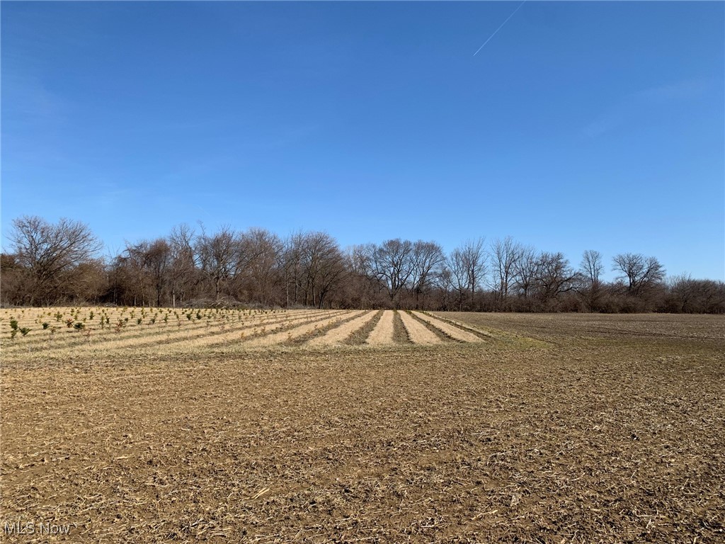 3006 Bayfield Drive, Huron, Ohio image 3