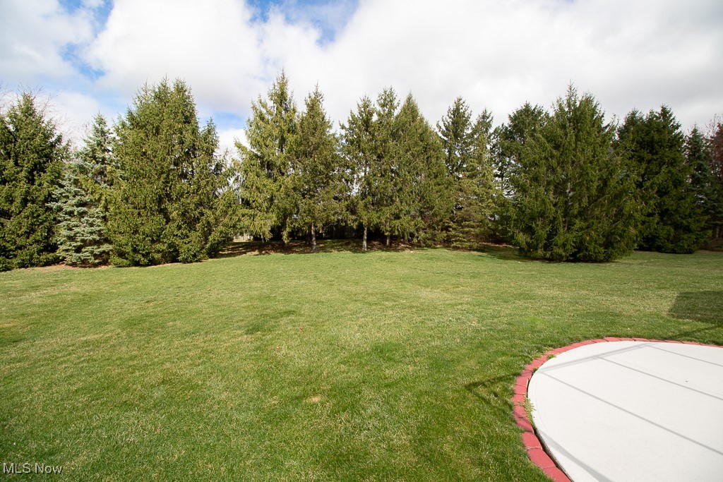 9545 Lismore Lane, Mentor, Ohio image 23