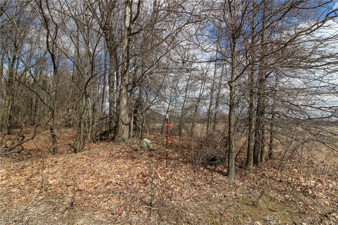 Lot 1 Oakfield North Road, Bristolville, Ohio image 9