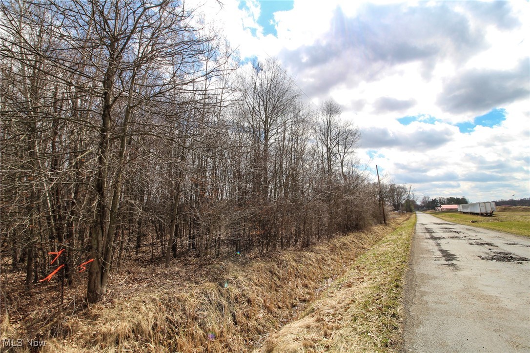 Lot 1 Oakfield North Road, Bristolville, Ohio image 3