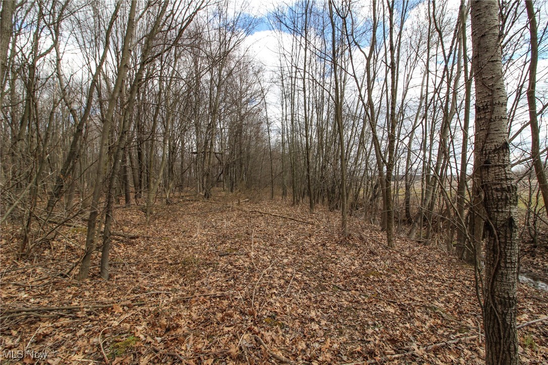 Lot 1 Oakfield North Road, Bristolville, Ohio image 13