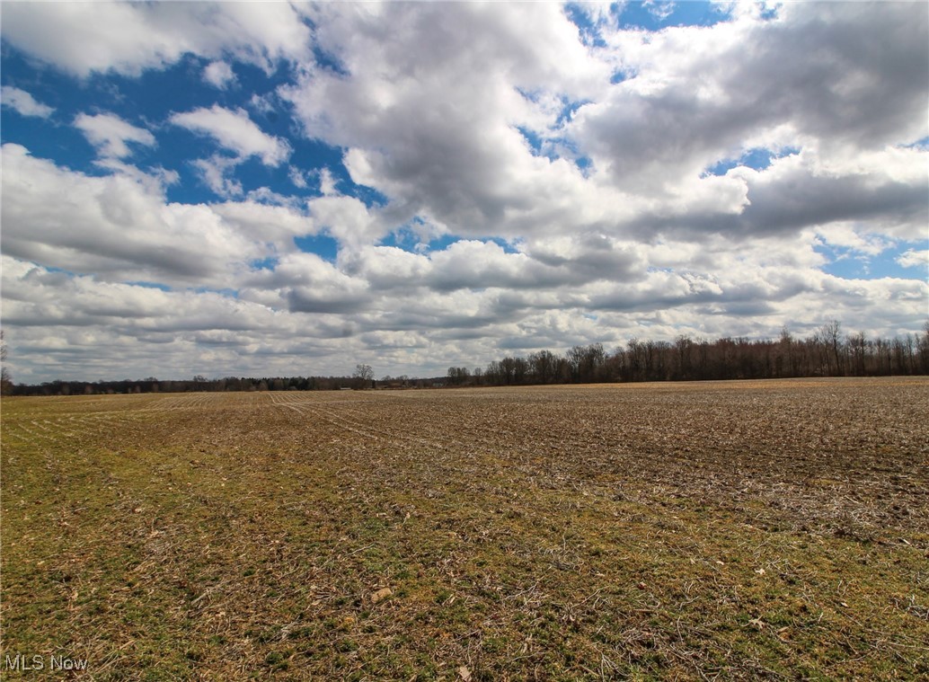 Lot 1 Oakfield North Road, Bristolville, Ohio image 6