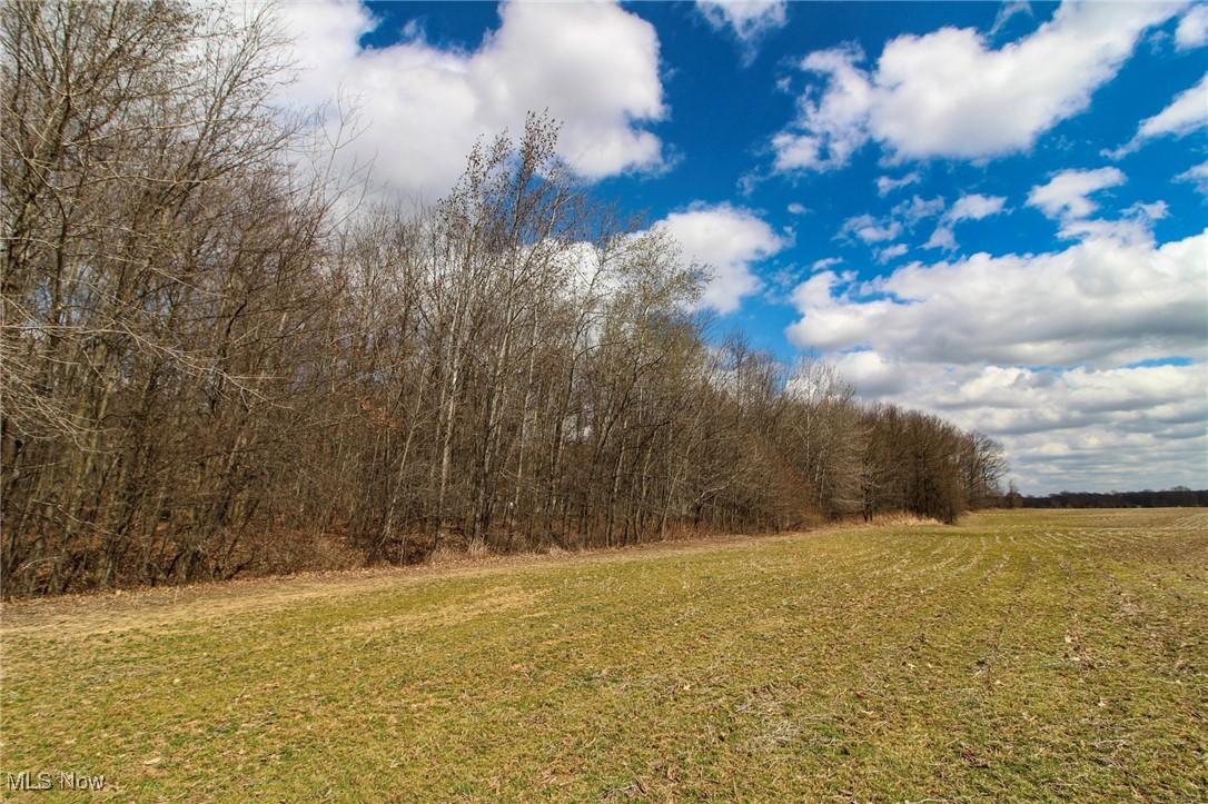 Lot 1 Oakfield North Road, Bristolville, Ohio image 5