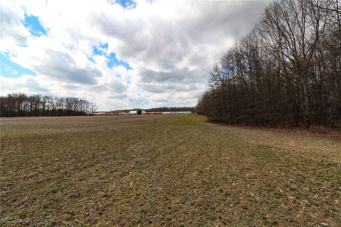 Lot 1 Oakfield North Road, Bristolville, Ohio image 8