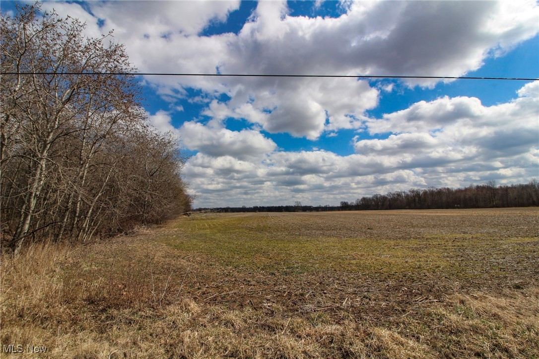 Lot 1 Oakfield North Road, Bristolville, Ohio image 2