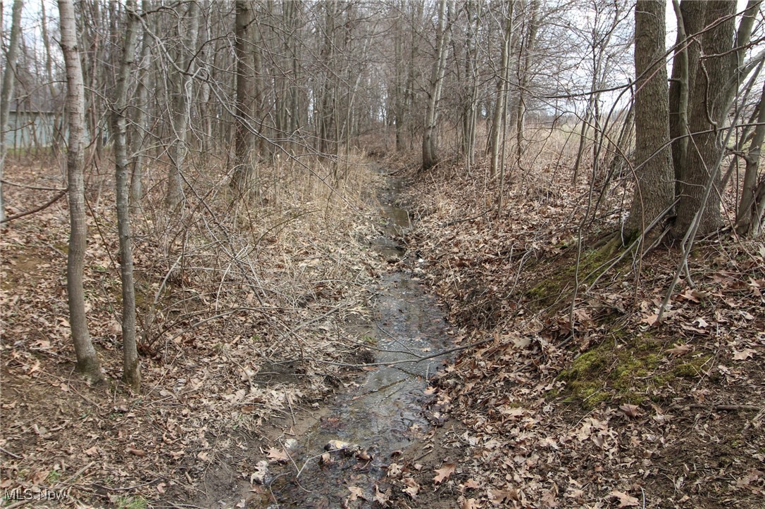 Lot 1 Oakfield North Road, Bristolville, Ohio image 10