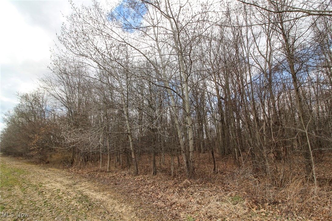 Lot 1 Oakfield North Road, Bristolville, Ohio image 7