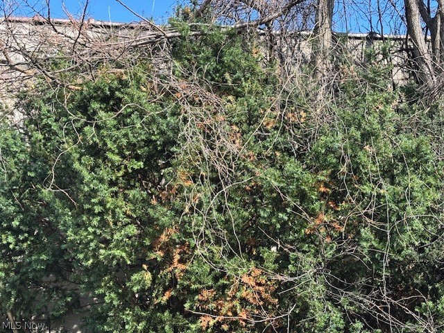 Crosbys Allotment - Commercial Sale