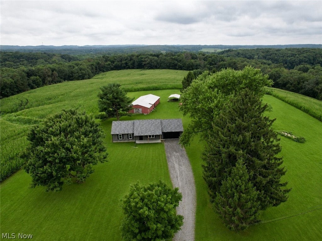 11489 Roller Coaster Road