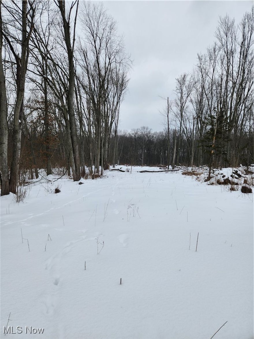 Located in desirable Columbia Station 2.2 Acres of partially cleared residentially zoned land ready for your project! Conveniently positioned on Royalton rd close to Columbia Park, Schools, Restaurants and Stores. Lot size is 100'x 967'!!!  Per seller, water, electric and gas at street and may qualify for a tie in credit.  Some groundwork study complete. Sister lot (Parcel 1200056000026) is also available and could be combined for a total of 200 foot of frontage and over 4.4 acres! No RITA tax!!
Schedule your showing today