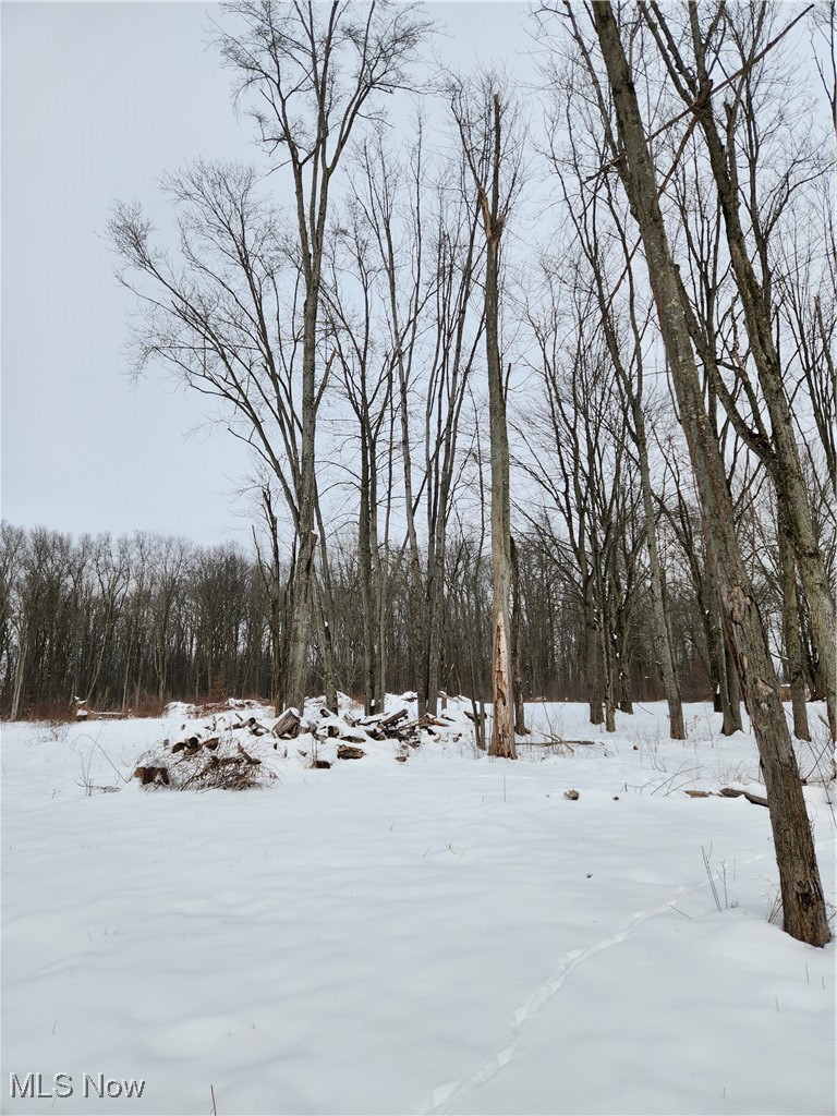 Township/Columbia - Land