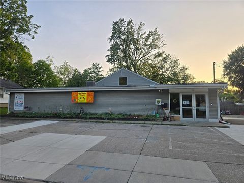 131 N East Street, Medina, OH 44256 - #: 5136176