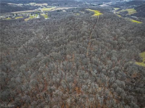 Tiny photo for 0 Tract 14 CR 7 Rear, Caldwell, OH 43724 (MLS # 5194455)