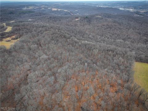 Tiny photo for 0 Tract 14 CR 7 Rear, Caldwell, OH 43724 (MLS # 5194455)