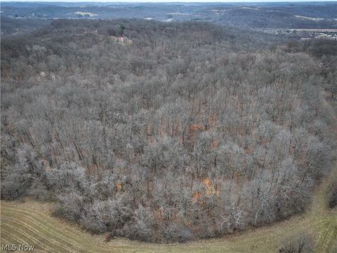 Tiny photo for 0 Tract 14 CR 7 Rear, Caldwell, OH 43724 (MLS # 5194455)