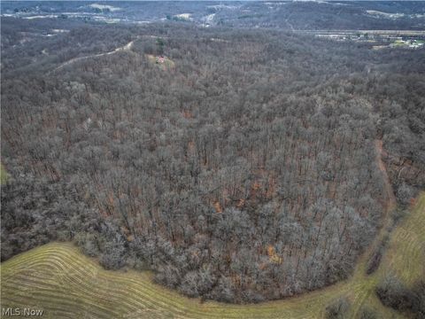 Photo of 0 Tract 14 CR 7 Rear, Caldwell, OH 43724 (MLS # 5194455)