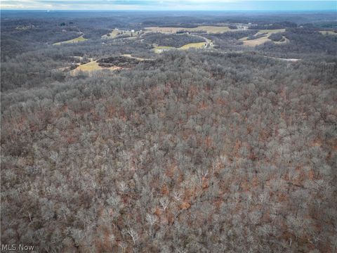 Tiny photo for 0 Tract 14 CR 7 Rear, Caldwell, OH 43724 (MLS # 5194455)