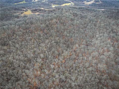 Tiny photo for 0 Tract 14 CR 7 Rear, Caldwell, OH 43724 (MLS # 5194455)