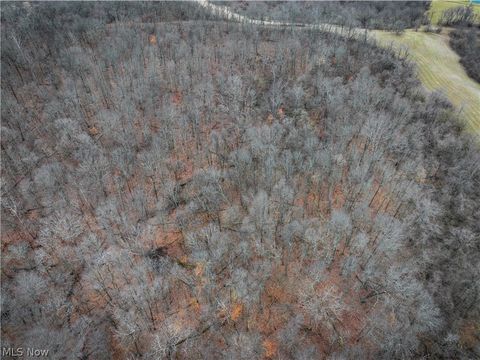 Tiny photo for 0 Tract 14 CR 7 Rear, Caldwell, OH 43724 (MLS # 5194455)