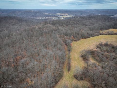 Tiny photo for 0 Tract 14 CR 7 Rear, Caldwell, OH 43724 (MLS # 5194455)